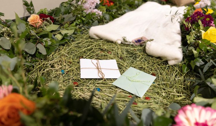 „Compostarea umană”, noua metodă de înmormântare recunoscută prin lege într-un land din Germania