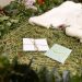 „Compostarea umană”, noua metodă de înmormântare recunoscută prin lege într-un land din Germania