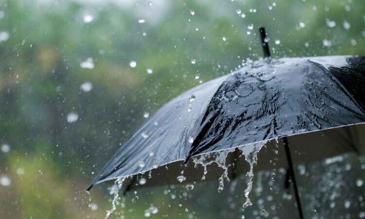 METEO // Sunt așteptate ploi pe întreg teritoriul țării