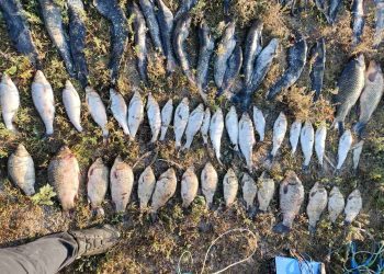 Două persoane, suspectate de braconaj pe Nistru în raionul Soroca. Au pescuit peste 55 de kilograme de pește