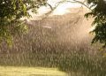 METEO // Ploi în nordul și centru țării. Câte grade vor fi astăzi