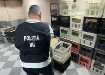 VIDEO // Doi bărbați din Chișinău, cercetați pentru producerea ilegală de băuturi alcoolice. Polițiștii au ridicat sute de sticle