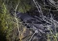 Drona căzută la Copanca are o încărcătură explozivă de 40 de kilograme. Geniștii urmează să o detoneze