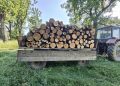 FOTO // Tăieri ilegale de arbori depistate în Ocolul Silvic Otaci. Inspectorii de mediu au sancționat făptașul