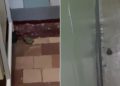 VIDEO // Broaște și șoareci în secția de boli infecțioase a Spitalului Raional Ștefan Vodă. Reacția ministrului Sănătății