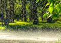 METEO // Se așteaptă ploi în nordul țării. Câte grade vor fi astăzi