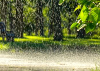 METEO // Se așteaptă ploi în nordul țării. Câte grade vor fi astăzi