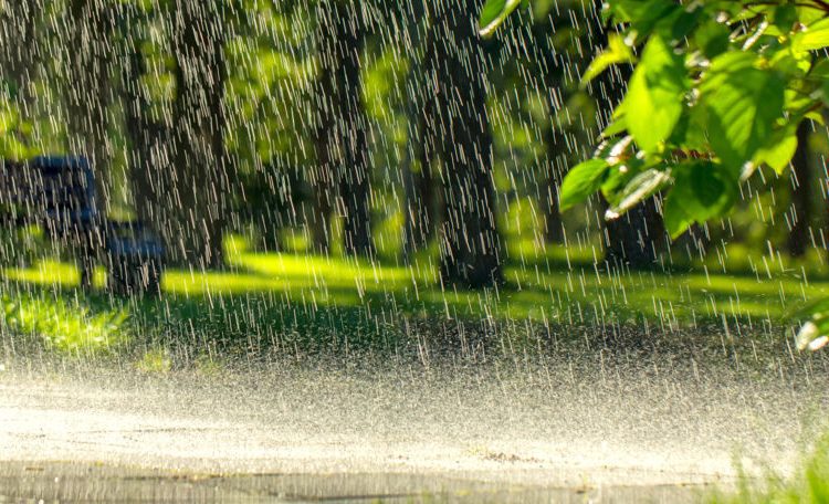 METEO // Se așteaptă ploi în nordul țării. Câte grade vor fi astăzi