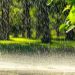 METEO // Se așteaptă ploi în nordul țării. Câte grade vor fi astăzi