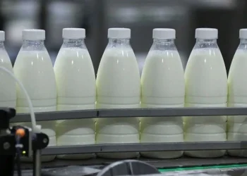 Compania moldovenească JLC a intrat în top 10 al companiilor din sectorul lactatelor din România