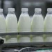 Compania moldovenească JLC a intrat în top 10 al companiilor din sectorul lactatelor din România
