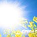 METEO // Cer variabil și temperaturi de până la +33°C în Republica Moldova