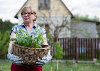Din 1 iulie, vârsta de pensionare pentru femei crește la 62 de ani