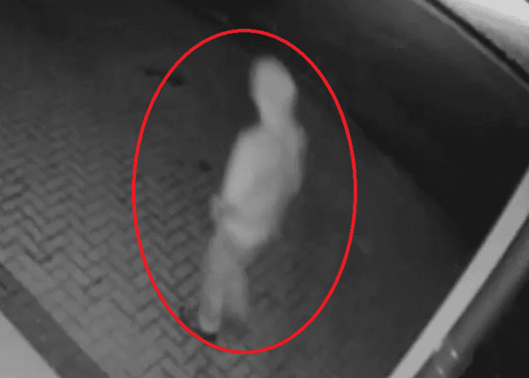 VIDEO // Tânăr din raionul Florești, suspectat de două jafuri comise în Chișinău. Prejudiciul este de aproximativ 11 mii de lei