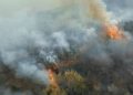 ONU avertizează: Fenomenul El Niño ar urma să atingă o intensitate ridicată între iulie şi septembrie. Ce efecte poate avea