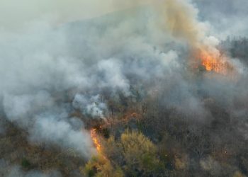 ONU avertizează: Fenomenul El Niño ar urma să atingă o intensitate ridicată între iulie şi septembrie. Ce efecte poate avea