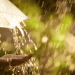 METEO // Cer variabil și ploi în mai multe localități din țară