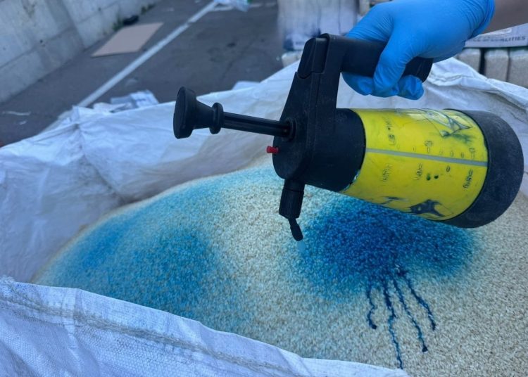 FOTO // Trei loturi de orez din import, nimicite sub supravegherea ANSA. Ce au depistat inspectorii