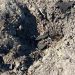 FOTO // Drone și explozii în apropierea frontierei: un crater și resturi de aparat, găsite în Moldova