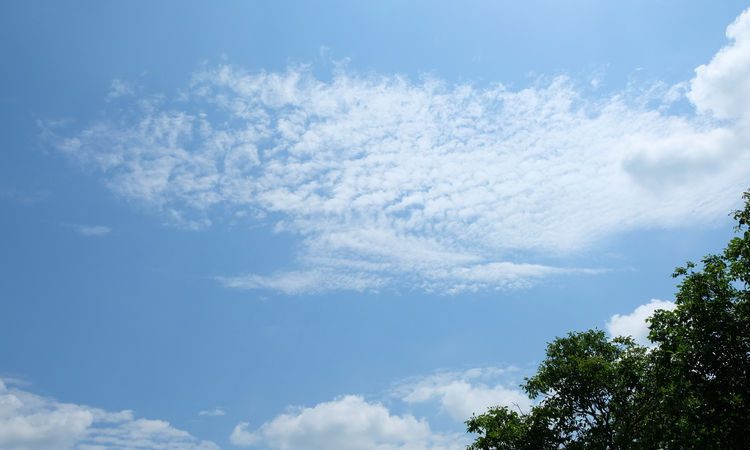 METEO // Cer variabil la nord și centru. Câte grade vor fi astăzi