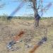 Incendiu de vegetație la Crocmaz, după o explozie puternică. Fragmente de dronă, depistate la fața locului