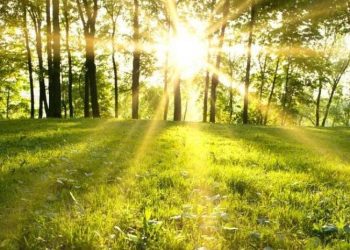 METEO // Soare în toată țara și temperaturi de până la 30 de grade