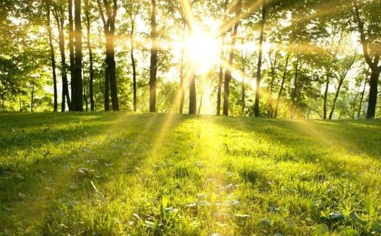 METEO // Soare în toată țara și temperaturi de până la 30 de grade