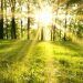 METEO // Soare în toată țara și temperaturi de până la 30 de grade