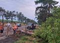 FOTO // Ploile puternice au doborât crengi și arbori pe mai multe drumuri din nordul țării. Circulația a fost restabilită