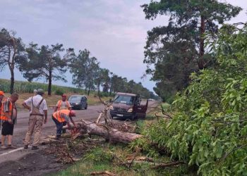 FOTO // Ploile puternice au doborât crengi și arbori pe mai multe drumuri din nordul țării. Circulația a fost restabilită