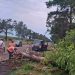FOTO // Ploile puternice au doborât crengi și arbori pe mai multe drumuri din nordul țării. Circulația a fost restabilită