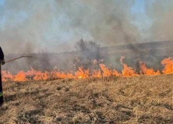 Incendii de vegetație în nordul țării. Patru hectare de teren au ars în raioanele Soroca și Drochia, în ultimele 24 de ore