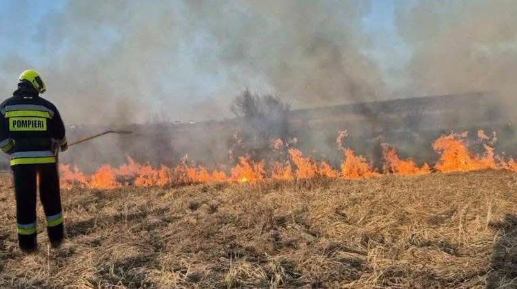 Incendii de vegetație în nordul țării. Patru hectare de teren au ars în raioanele Soroca și Drochia, în ultimele 24 de ore