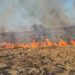 Incendii de vegetație în nordul țării. Patru hectare de teren au ars în raioanele Soroca și Drochia, în ultimele 24 de ore