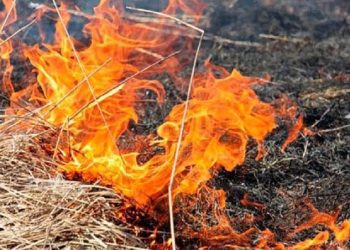 Un bărbat din raionul Edineț a suferit arsuri de gradul III în timp ce încerca să stingă un incendiu de vegetație