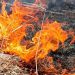 Un bărbat din raionul Edineț a suferit arsuri de gradul III în timp ce încerca să stingă un incendiu de vegetație