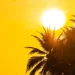El Niño se intensifică într-un ritm neobișnuit și specialiștii avertizează că 2027 ar putea deveni cel mai fierbinte an înregistrat vreodată