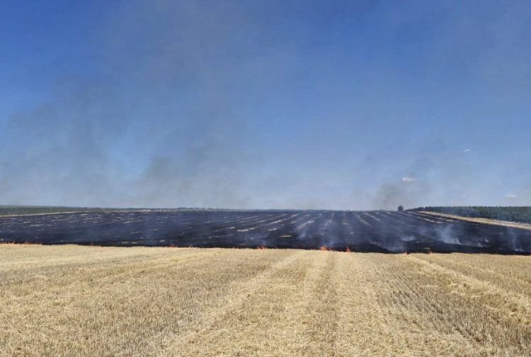 Un locuitor din raionul Edineț, depistat în timp ce incendia miriștea. Riscă amendă de până la 15.000 de lei