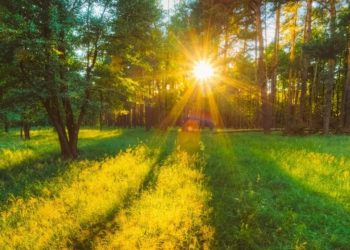 METEO // Vreme caldă în toată țara: până la +33 de grade Celsius astăzi