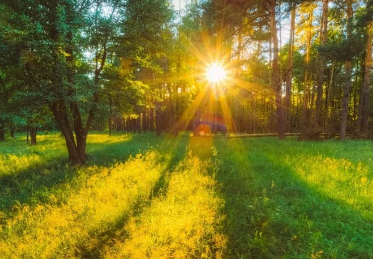 METEO // Vreme caldă în toată țara: până la +33 de grade Celsius astăzi
