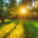 METEO // Vreme caldă în toată țara: până la +33 de grade Celsius astăzi