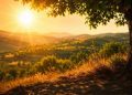 METEO // Ultima zi de vară vine cu temperaturi generoase
