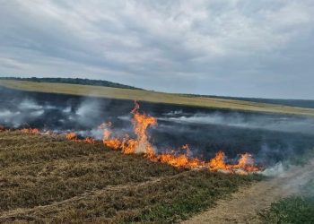FOTO //  Incendiu de vegetație pe un câmp din Zăbriceni. Persoana responsabilă, identificată