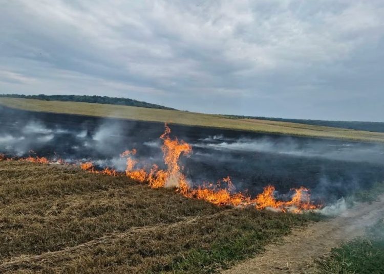 FOTO // Incendiu de vegetație pe un câmp din Zăbriceni. Persoana responsabilă, identificată
