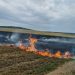 FOTO // Incendiu de vegetație pe un câmp din Zăbriceni. Persoana responsabilă, identificată