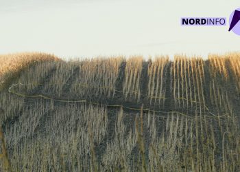 Vasile Tofan, după incidentul cu dronă din Rîșcani: „Trebuie să protejăm mai bine spațiul aerian”