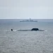 NATO a surprins submarine rusești ce testau o armă secretă în Arctica. Detalii în premieră despre o operațiune necunoscută până acum