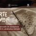 VIDEO // Campania „O parte din mine”: peste un milion de oameni au primit mesajul că sănătatea mintală nu definește un om
